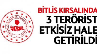 Bitlis'te 3 terörist etkisiz hale getirildi