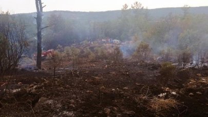 Muğla Menteşe'de korkutan yangın