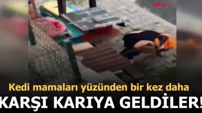 Kedi mamaları yüzünden tartışan iki kadın yine karşı karşıya geldi!