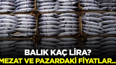 Balık kaç lira? Mezat ve pazardaki fiyatlar belli oldu!