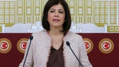 HDP Grup Başkanvekili Beştaş'tan Ak Partil Akkal'a: Kaç tane trol hesabın var?