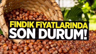 3 Eylül Perşembe fındık kaç lira? | Son dakika fındık fiyatları