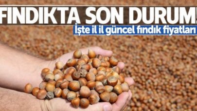 4 Eylül Cuma fındık kaç lira? | Son dakika fındık fiyatları