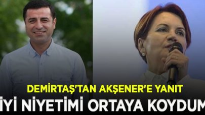 Demirtaş'tan Akşener'e kahvaltı yanıtı: İyi niyetimi ortaya koydum