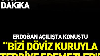 Erdoğan: 'Bizi dolar kuruyla terbiye edemezler!'