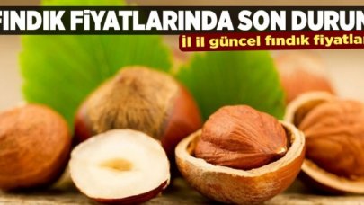 11 Eylül Cuma fındık kaç lira? | Son dakika fındık fiyatları