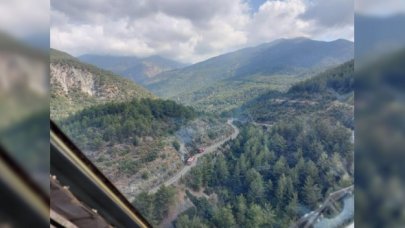 Hatay’da 8 farklı noktada orman yangını; 1 gözaltı