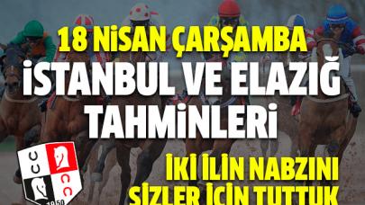 18 Nisan 2018 Çarşamba İstanbul ve Elazığ At Yarışı Tahminleri - Hazır Tahmin ve Kupon