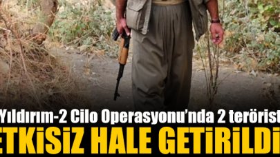 Yıldırım-2 Cilo Operasyonu'nda 2 terörist etkisiz hale getirildi