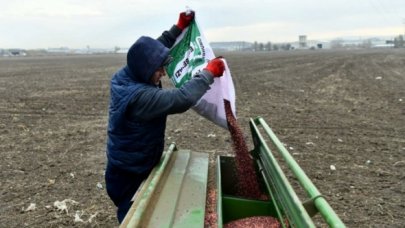 Ankara Büyükşehir Belediyesi'nden çiftçilere tohum desteği