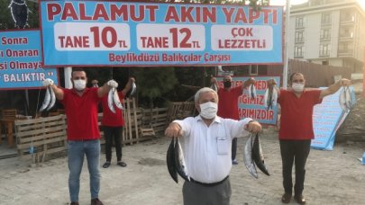 Palamut bollaştı, fiyatlar düştü