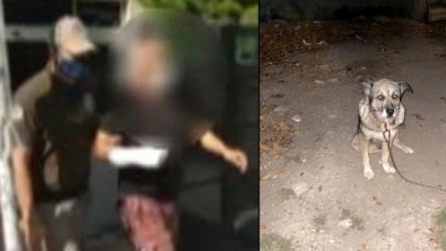 Beylikdüzü'nde komşusunun 3 köpeğini bıçakladı, adli kontrolle serbest kaldı