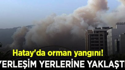 Hatay'da orman yangını; yerleşim yerlerine yaklaştı