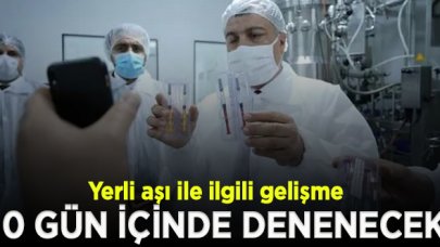 'Yerli aşı'da gelişme: 10 gün içinde insan üzerinde denenebilecek