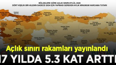 BİSAM'dan açlık sınırı raporu: 17 yılda 5.3 kat arttı