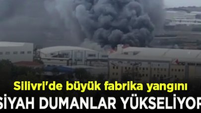 Silivri'de büyük fabrika yangını!