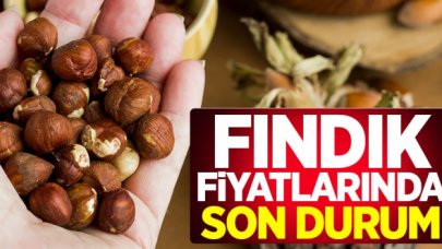 25 Ekim Pazar günü güncel fındık fiyatları! Fındık kaç lira?