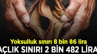 Açlık sınırı 2 bin 482, yoksulluk sınırı 8 bin 86 lira