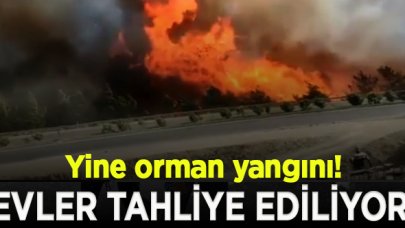 Anamur'da yerleşim yeri yakınında orman yangını! Evler tahliye edildi