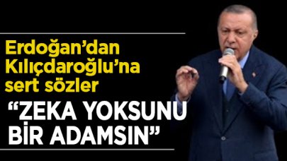 Erdoğan'dan yeni harekat mesajı! Kılıçdaroğlu'na tepki: Sen ne zekasız...