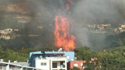 Hatay'daki yangınla ilgili 2 gözaltı