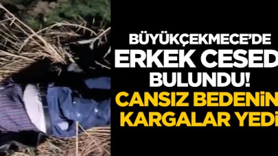 Büyükçekmece'de erkek cesedi bulundu! Cansız bedenini kargalar yedi