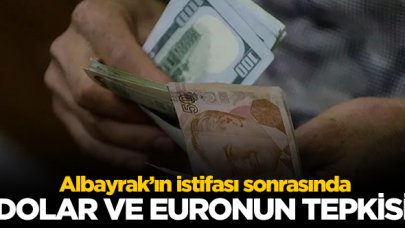 Berat Albayrak'ın istifası sonrası dolar ve euro kaç lira? 9 Kasım döviz fiyatları