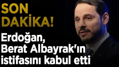 Erdoğan, Berat Albayrak'ın istifasını kabul etti