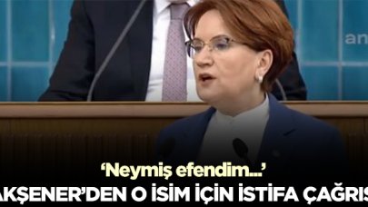 İYİ Parti Genel Başkanı Meral Akşener, Takım Bakanı Pakdemirli'nin istifasını istedi