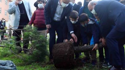 Saat 11.11’de  111 ağaç dikildi