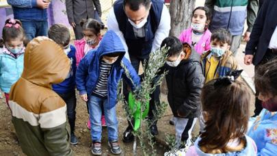 Beyoğlu’nda zeytin ağacı dikme kampanyası başlatıldı