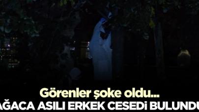 Sirkeci Parkı'nda ağaca asılı erkek cesedi bulundu