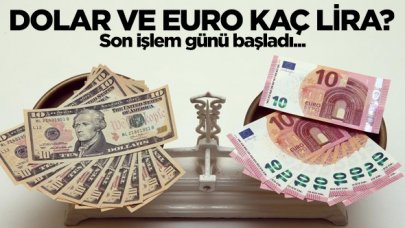 13 Kasım Cuma dolar ve euro kaç lira? Döviz alış ve satış fiyatları