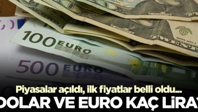 16 Kasım Pazartesi dolar ve euro kaç lira? Döviz alış ve satış fiyatları