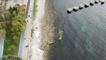 Kadıköy Caddebostan'da deniz çekildi, tedirginlik yaşandı