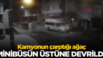 Kamyonun çarptığı ağaç minibüsün üstüne devrildi