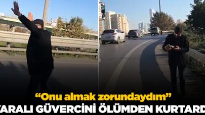 Yaralı güvercini ölümden kurtardı