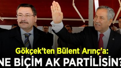 Melih Gökçek'ten Bülent Arınç'a: Sen ne biçim Ak Partilisin?