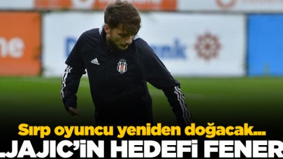 Adem Ljajic'in hedefi Fenerbahçe!