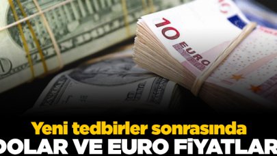 1 Aralık 2020 Salı döviz fiyatları | Dolar ve euro kaç lira?