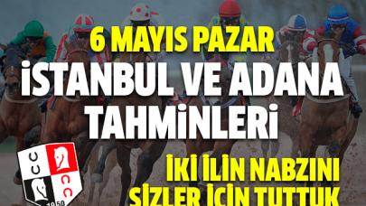 6 Mayıs 2018 Pazar İstanbul ve Adana koşuları At Yarışı Tahminleri