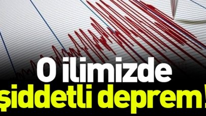 3 Aralık Perşembe Siirt depremi! Merkez üssü ve şiddeti açıklandı