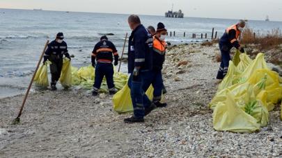 İBB, Avcılar sahilinden 10 ton denizanası topladı