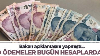 Sosyal ve Ekonomik Destek Hizmeti (SED) ödemeleri hesaplara yatırıldı