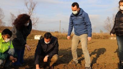 Büyükçekmece’de tarım seferberliği sürüyor