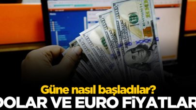 9 Aralık 2020 Çarşamba dolar ve euro güne nasıl başladı? Döviz fiyatları