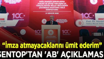 Şentop'tan 'AB' açıklaması: Bunalıma katkı yapacak kararlara imza atmayacaklarını ümit ederim