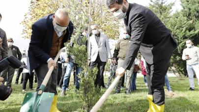 2020 yılında Kağıthane’ye bin 531 ağaç dikildi