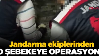 Jandarma ekiplerinden uluslar arası şebekeye operasyon