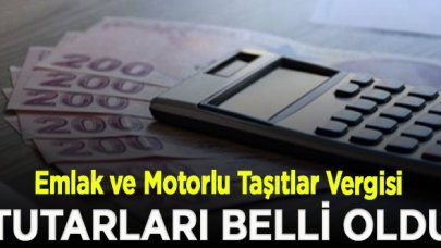 2021 Emlak ve Motorlu Taşıtlar Vergisi tutarları belli oldu